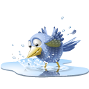 pool-bird-icon-128